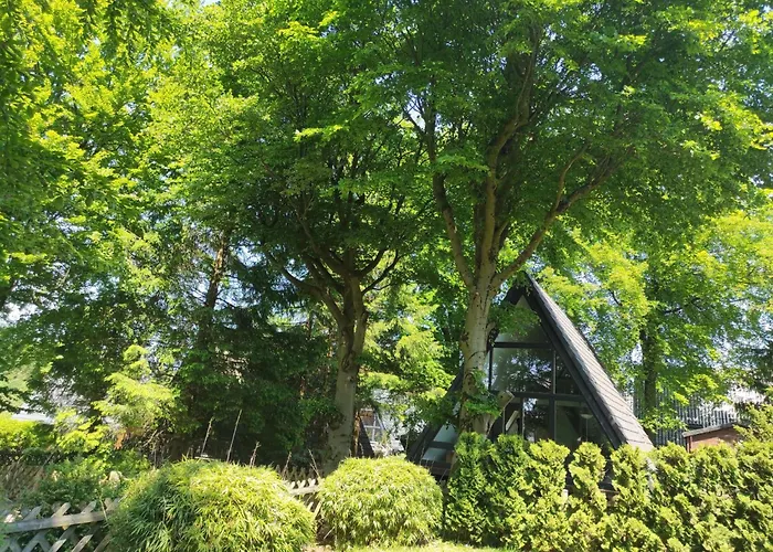 Tatil Evi Hexenhaus Im Harz By Interhome *